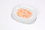 Almo Nature - Pâtée en Boîte HFC Natural Poulet avec Fromage pour Chat - 70g Indicateur image numéro 4