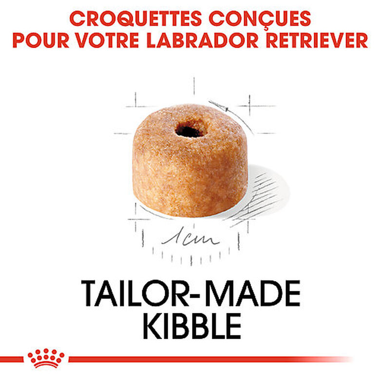 Royal Canin - Croquettes Puppy Labrador Retriever pour Chiots - 3Kg image number null