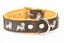 Yogipet - Collier Super Bouledogue Français Cuir pour Chien Marron - T60 41/55cm Indicateur image numéro 2