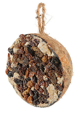 Zolux - Demi noix de coco avec graisse et raisins - 200g