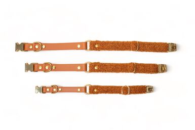 Pompon & Pets - Collier Duo Teddy pour Chiens
