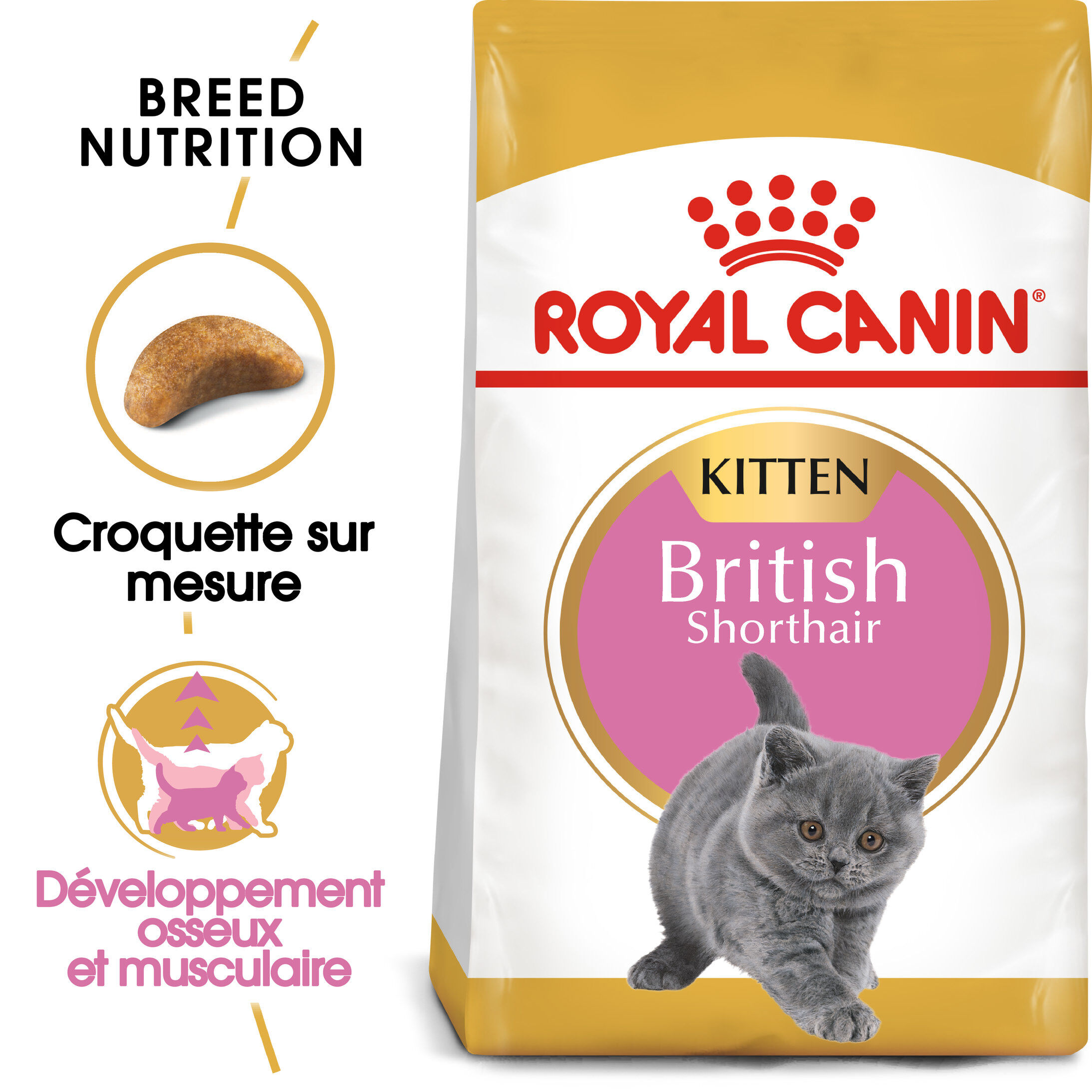 Royal Canin - Croquettes Kitten BRITISH SHORTHAIR pour Chatons - 400g Image num&eacute;ro 1