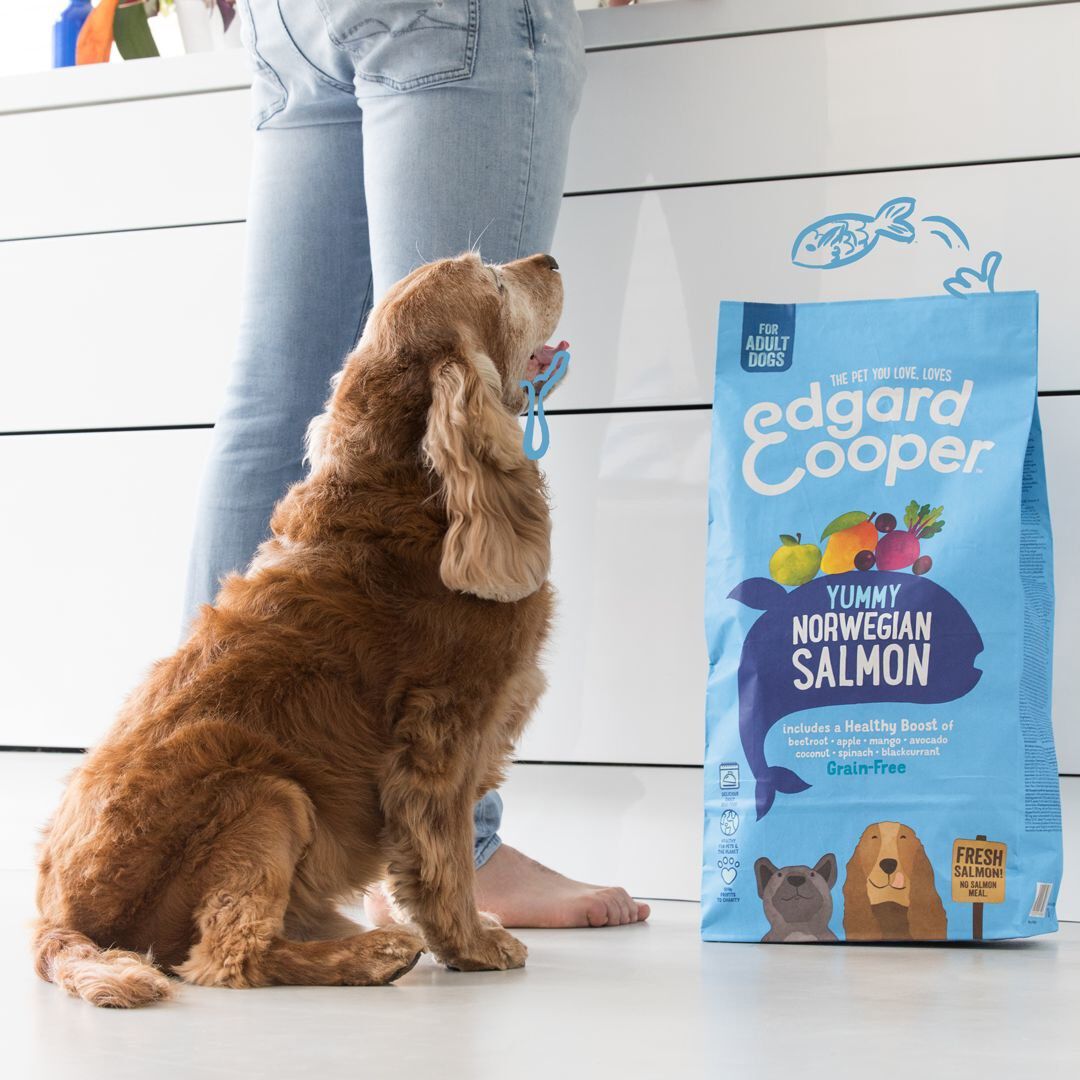Edgard & Cooper - Croquettes au Saumon pour Chien - 2,5Kg Image num&eacute;ro 3