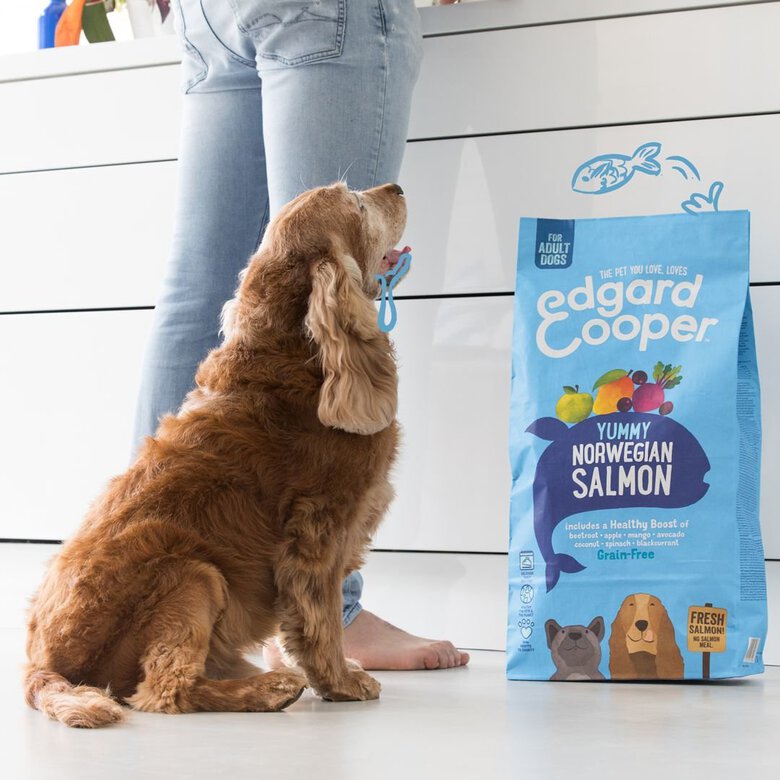 Edgard & Cooper - Croquettes au Saumon pour Chien - 2,5Kg Image numéro 3 Edgard & Cooper - Croquettes au Saumon pour Chien - 2,5Kg Image numéro 3
