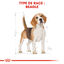 Royal Canin - Croquettes Beagle Adult pour Chien - 12Kg Indicateur image numéro 2