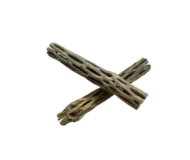 Gioiashrimp -  Ecorce de Cholla Wood pour Crevette - 15cm