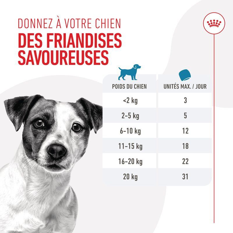 Royal Canin - Training Treats Friandises d'Education pour Chiots et Chiens Adultes - 110g Image num&eacute;ro 12