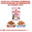 Royal Canin - Sachets Kitten Sterilised en Sauce pour Chaton - 12x85g Indicateur image numéro 7