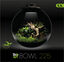 BioArt - Terrarium Bowl 225 Led 5,1L pour Plantes - Noir Indicateur image numéro 3