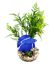 Labeo - Plante de Décoration Poisson d'eau Douce pour Aquarium Indicateur image numéro 2