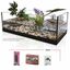 Animalis - Kit Tortue Aquatique - 60 Indicateur image numéro 3