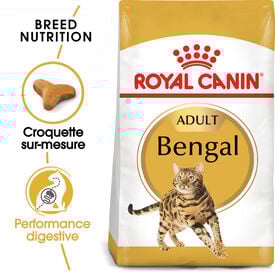 Royal Canin - Croquettes BENGAL ADULT Pour Chat