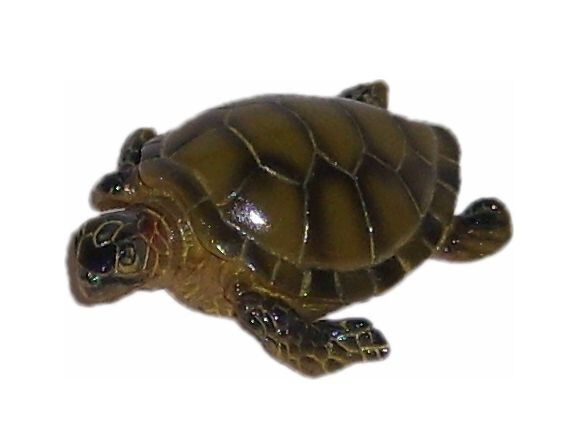 Labeo - D&eacute;coration Tortue pour Aquarium Image num&eacute;ro 2