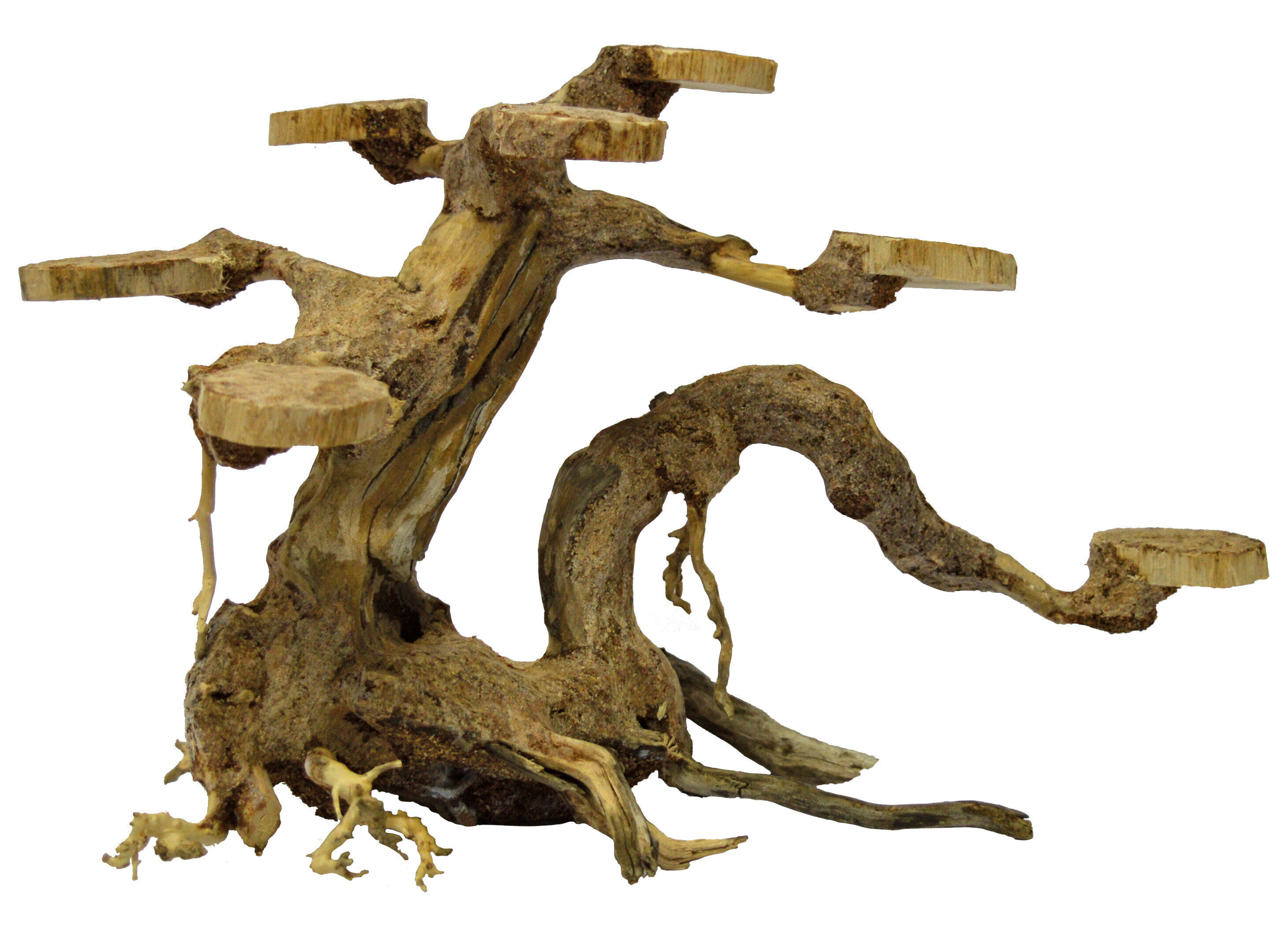 Superfish - Racine Bonsai Planter pour Aquarium - S Image num&eacute;ro 1