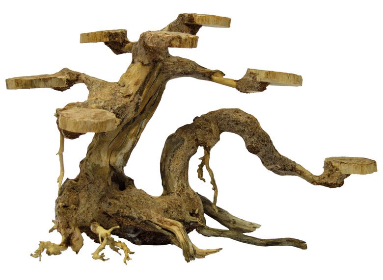 Superfish - Racine Bonsai Planter pour Aquarium - S Image numéro 1 Superfish - Racine Bonsai Planter pour Aquarium - S Image numéro 1