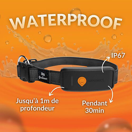 Weenect - Collier GPS XT Chiens - Noir Image num&eacute;ro 9