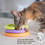 Outward Hound - Jeux Puzzle Kitty Lickin' Layers pour Chats Indicateur image numéro 7