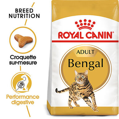 Royal Canin - Croquettes BENGAL ADULT Pour Chat