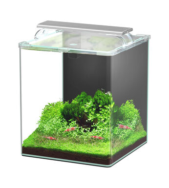 Aquatlantis - Kit Kubus Curve 30L Equipé