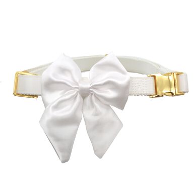 Croci - Collier Smoking Ceremony pour Chiens
