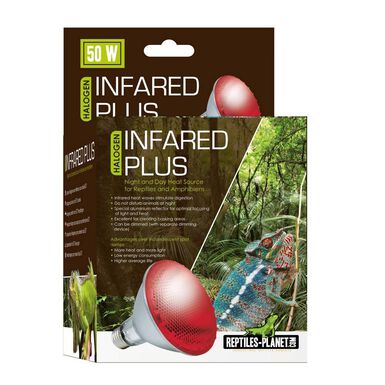 Reptiles Planet - Ampoule Chauffante Infrarouge Infrared Plus Halogen - 50W