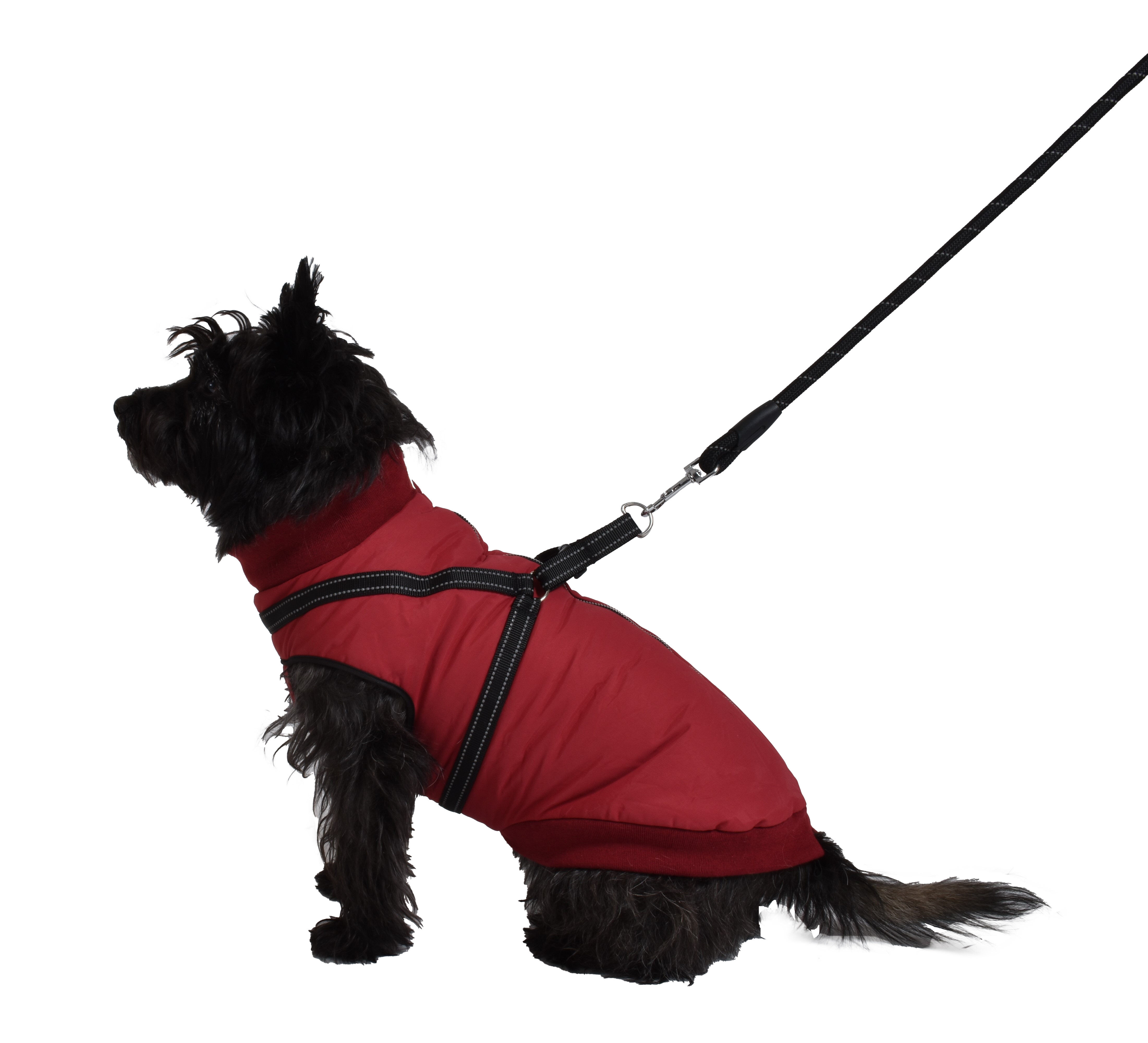 Bobby - Manteau Easy Bordeaux - 25XS Image num&eacute;ro 2