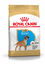 Royal Canin - Croquettes Boxer Junior pour Chiens - 3Kg Indicateur image numéro 2