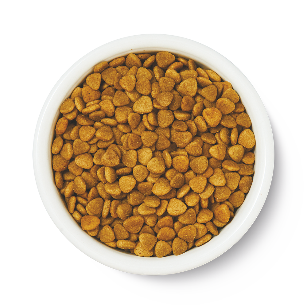 Lily's Kitchen - Croquettes Compl&egrave;tes sans C&eacute;r&eacute;ales aux Poissons avec Saumon pour Chats Adultes - 800g Image num&eacute;ro 3