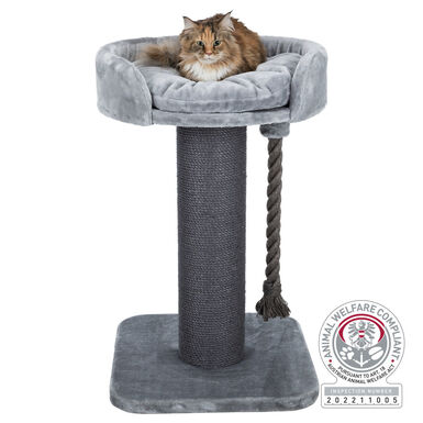 Trixie - Arbre à chat XXL Klara gris - 100 cm