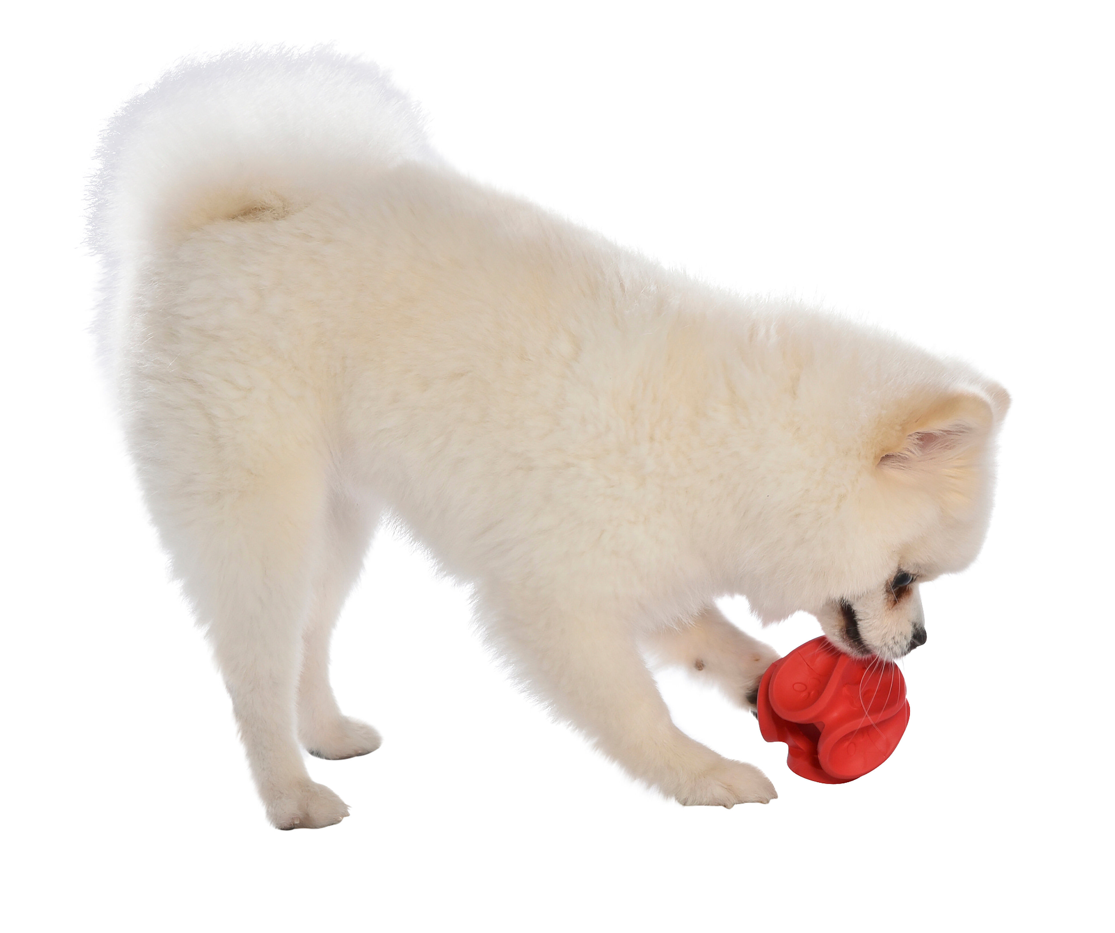 Bobby - Jouet Balle Wave Rouge pour Chiens - S Image num&eacute;ro 2