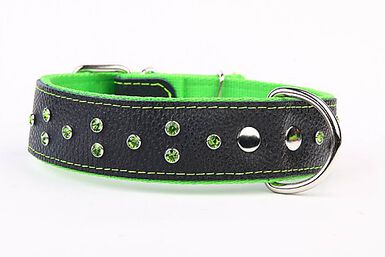 Yogipet - Collier Cuir Large Crystal pour Chien - Vert