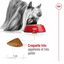 Royal Canin - Croquettes Senior - 1,5KG Indicateur image numéro 7