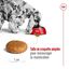 Royal Canin - Croquettes Medium Adult - 15Kg Indicateur image numéro 8
