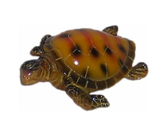 Labeo - D&eacute;coration Tortue pour Aquarium Image num&eacute;ro 4
