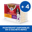 Hill’s Sciene Plan - Healthy Cuisine Mijotés Pour Chien Adulte Au Poulet Et Légumes Ajoutés  - 12x90g Indicateur image numéro 3