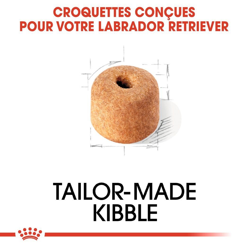Royal Canin - Croquettes Labrador pour Chiens Adultes de plus de 15 Mois - 12Kg Image num&eacute;ro 4
