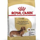 Royal Canin - Croquettes Teckel pour Chien Adulte - 1,5Kg image number null