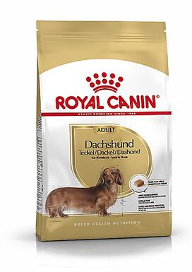 Royal Canin - Croquettes Teckel pour Chien Adulte - 1,5Kg
