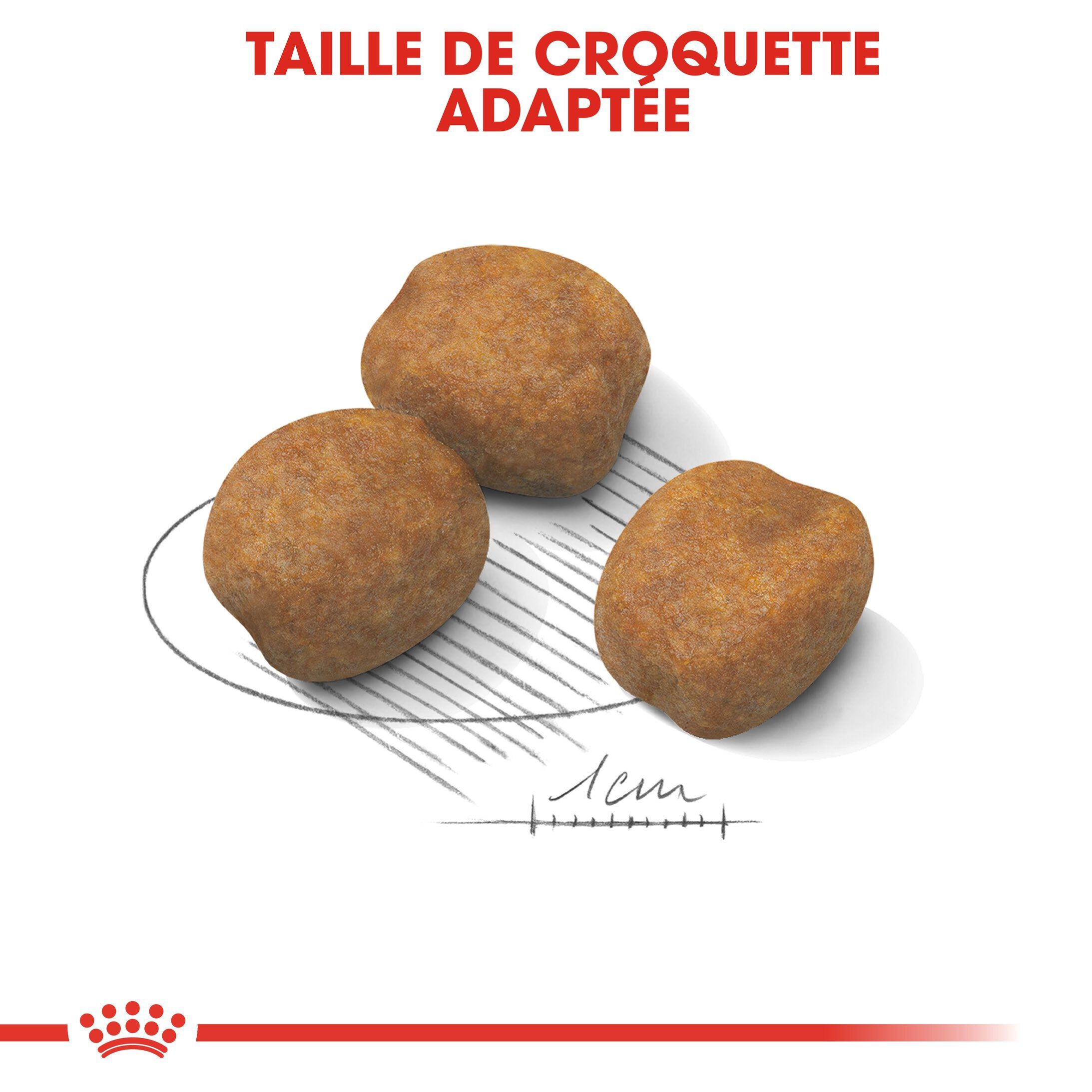 Royal Canin - Croquettes Giant Puppy pour Chiot - 15Kg Image num&eacute;ro 5