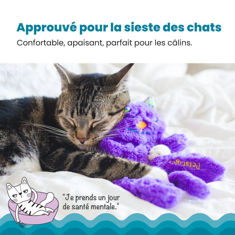 Outward Hound - Peluche Douillette Purr Pillow Kitty pour Chats - 30,5cm Image num&eacute;ro 3