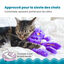 Outward Hound - Peluche Douillette Purr Pillow Kitty pour Chats - 30,5cm Indicateur image numéro 3