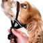Halti - Licol Optifit Headcollar Gris pour Chiens - L Indicateur image numéro 3