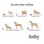 Leeby - Tapis Imprimé Pattes pour Chiens - M Indicateur image numéro 9