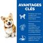 Hill's Science Plan - Adult Small & Mini Croquettes Pour Petit Chien Au Poulet  -  1,5kg Indicateur image numéro 3