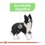 Royal Canin - Croquettes Digestive Care pour Chien - 3Kg Indicateur image numéro 3