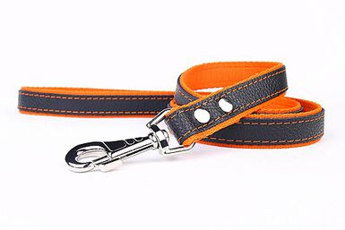 Yogipet - Laisse en Cuir avec Nylon 120cm pour Chien - Orange