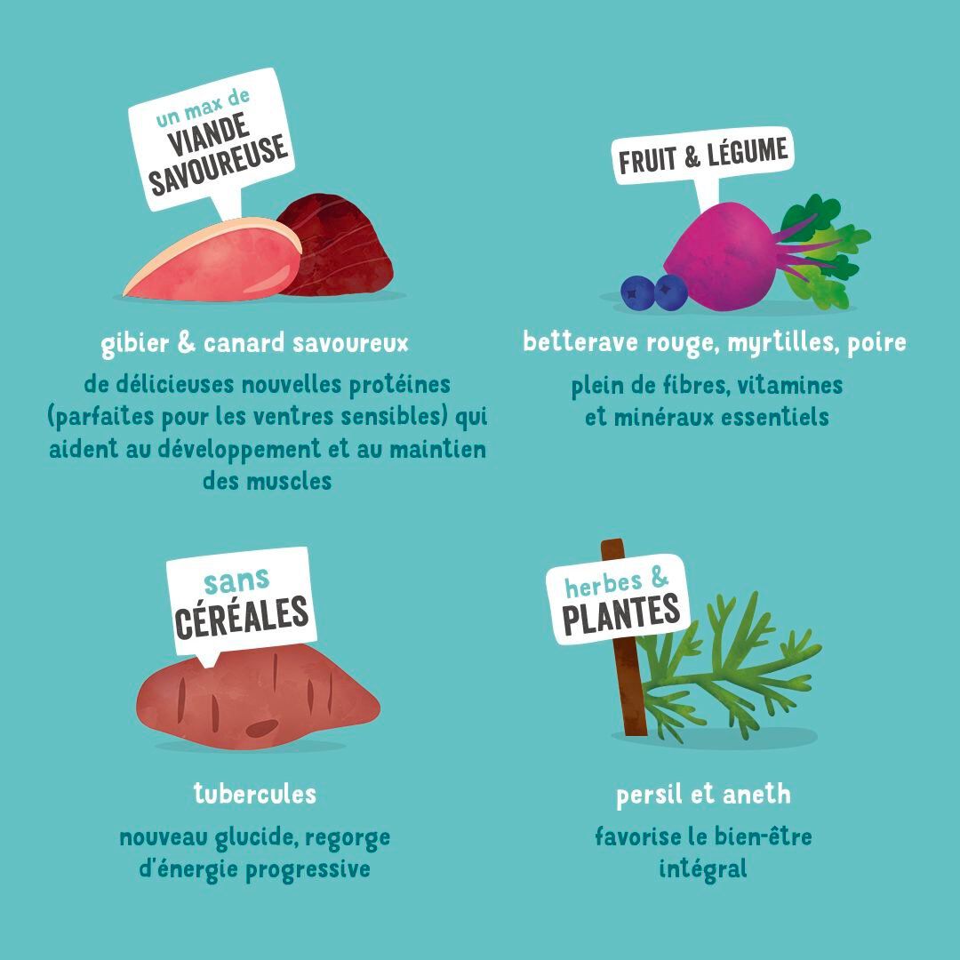 Edgard & Cooper - Bo&icirc;te au Gibier et Canard pour Chien - 400g Image num&eacute;ro 4