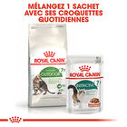 Royal Canin - Croquettes Outdoor7+ pour Chats d'Extérieurs - 4Kg image number null