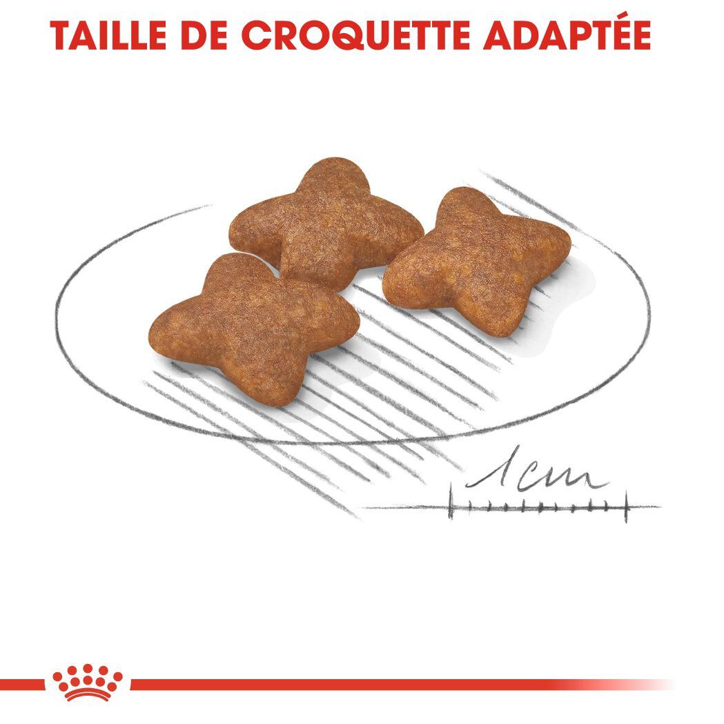 Royal Canin - Croquettes Mini Adult pour Chien de Petite Taille - 4Kg Image num&eacute;ro 4