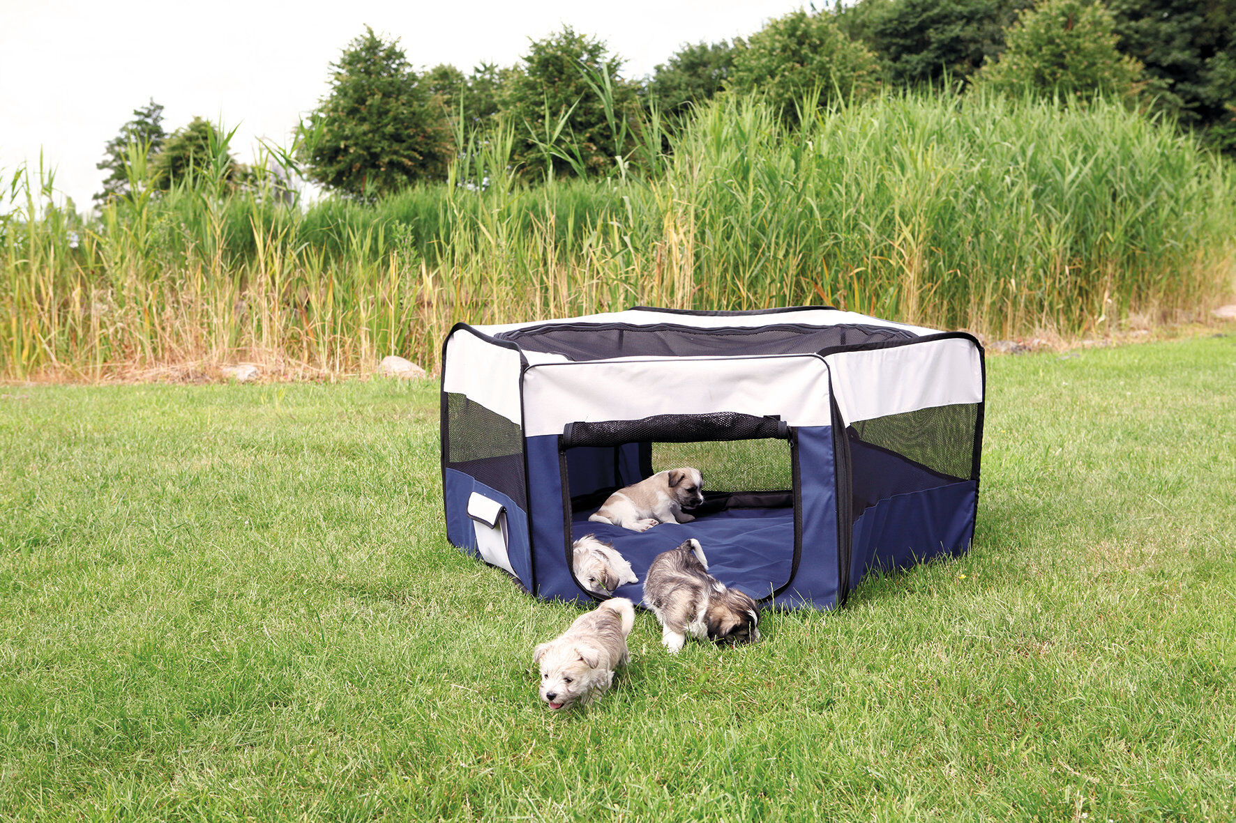 Trixie - Parc &agrave; Chiots ou Rongeur Image num&eacute;ro 3